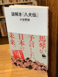 謎解き『八犬伝』 (河出新書 087)