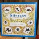 海辺のともだち : みつける・たべる・あそぶ