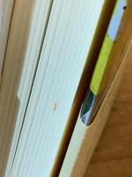 ボローニャ・ブックフェア物語 : 絵本の町ができるまで