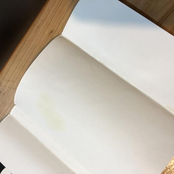 樹ぴター(白井剛史 著) / 古本、中古本、古書籍の通販は「日本の古本屋