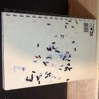 Stealing Beauty: British Design Now Loose Leaf –英語版