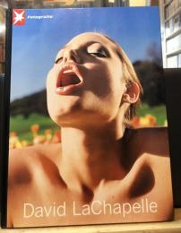 【送料込】DAVID LACHAPELLE　stern fotografie　Portfolio No.51