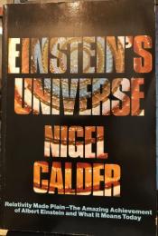 Einstein's Universe