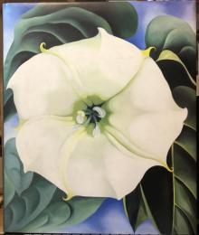 オキーフ画集 花