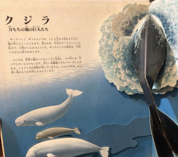 クジラ : 力持ちの海の巨人たち(きたむらまさお やく、ナショナル 