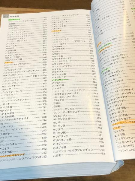 増補改訂 山溪ハンディ図鑑14 樹木の葉 実物スキャンで見分ける1300