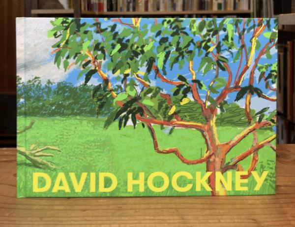 図録 デイヴィッド・ホックニー展 / 古本、中古本、古書籍の通販