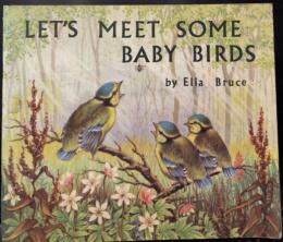 LET'S MEET SOME BABY BIRDS
