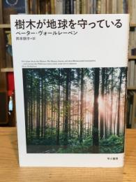 樹木が地球を守っている