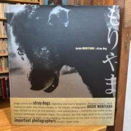 Daido Moriyama : stray dog