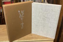 治療の書