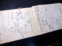 和本幕末～明治期「花道活花写本」1冊