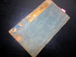 和本江戸期天然痘医学写本「痘疹一覧」全1冊