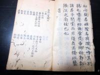 和本江戸期天然痘医学写本「痘疹一覧」全1冊