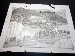 大正元年（1912）古地図鳥瞰図「大柏山信綱寺之景」1点