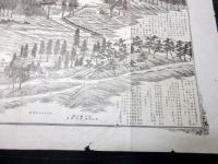 大正元年（1912）古地図鳥瞰図「大柏山信綱寺之景」1点