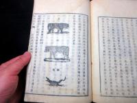 和本江戸万延元年（1860）世界地誌地理「地球説略」上1冊/