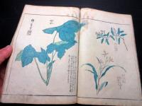 和本江戸期地誌「日光山志」1冊