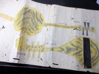 江戸期写し「正倉院宝物巻物」1巻