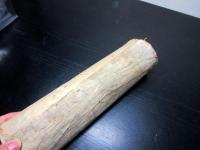 江戸期写し「正倉院宝物巻物」1巻