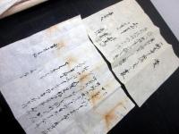 和本江戸～明治期長野古記録「信濃国小県郡高梨村文書」100点以上