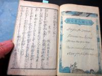 和本明治5年（1872）序滑稽本「西洋道中膝栗毛」11編上下2冊