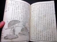 和本明治16年（1883）講談本「雲井龍雄実伝/徳川回復噂龍浪」全1冊