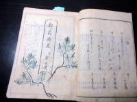 和本幕末～明治期俳句俳諧「句合草」1冊