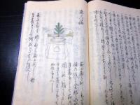 和本江戸期礼法有職故実武家故実写本「婚略秘伝」全1冊