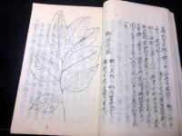 和本江戸慶応3年（1867）武家故実写本「空穂考」全1冊/小室・沢辺紀念文庫の蔵書印