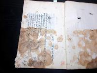 和本江戸期写本「陸氏草木疏図解」坤1冊