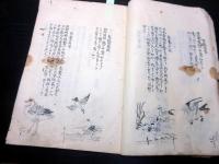 和本江戸期写本「陸氏草木疏図解」坤1冊