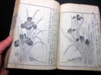 和本江戸元文5年（1740）狩野派絵手本「画本鶯宿梅」巻5～7合1冊