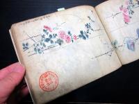 和本江戸享和2年（1802）画帖「青霞堂叢書」1冊