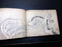 和本江戸享和2年（1802）画帖「青霞堂叢書」1冊