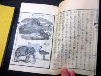 和本明治8年（1875）世界地誌「地球説略訳解」4冊揃い