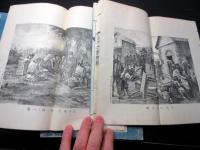 和本明治19～24年政治小説「佳人之奇遇」巻1～10の10冊