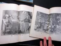 和本明治19～24年政治小説「佳人之奇遇」巻1～10の10冊