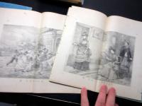 和本明治19～24年政治小説「佳人之奇遇」巻1～10の10冊