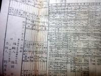 明治12年（1879）古地図「東京近傍独案内之図」1舗