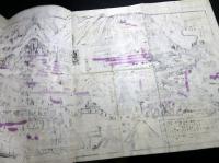 幕末～明治期古地図鳥瞰図「丸亀ヨリ金毘羅善通寺弥谷寺道案内図」1点