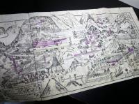幕末～明治期古地図鳥瞰図「丸亀ヨリ金毘羅善通寺弥谷寺道案内図」1点