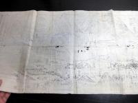 幕末～明治期古地図鳥瞰図「金毘羅善通寺弥谷寺道案内図」1点