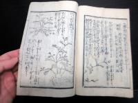 和本明治元年（1868）農業「無水岡田開闢法」全1冊