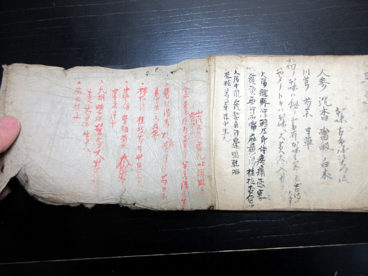 和本江戸期医学写本「小児薬方/金瘡口伝養性集ほか」1冊 / 古本