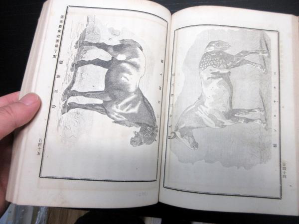 朝夕神拝式など神社について書かれた書物 明治期 1点もの 古書