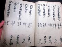 和本江戸寛文10年（1670）「信州佐久郡根々井本江村御縄打帳」1冊
