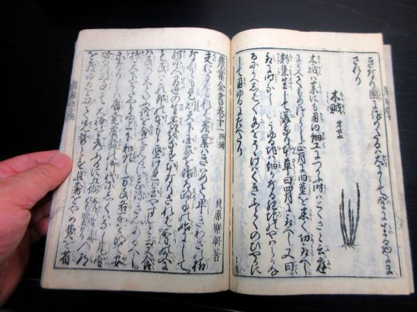 江戸期 和本 農業全書 現存10巻 希少 挿絵入 欠巻1 巻3破損 古書 史料 和本江戸期「農業全書」10冊揃い(宮崎安貞) / 古本、中古本、古書籍の