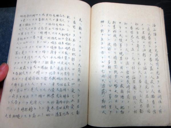和本江戸期海防論写本「献芹微衷」2冊揃い/林復斎の旧蔵書(八王子千人