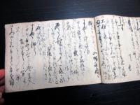 和本文政11年（1828）古記録「日記」1冊